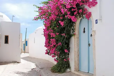 Image de Mesdames et Messieurs les guesthomes historique avec piscine privée, Erriadh, à l'île de Djerba