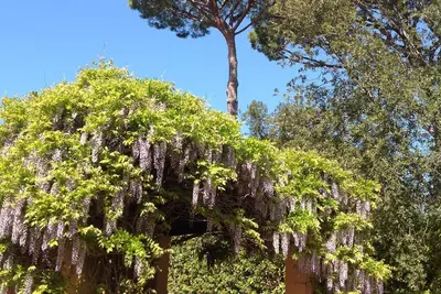 Image de Punta Ala Villetta il Glicine