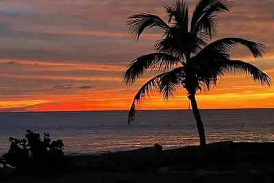 Image de Votre place au paradis! Plage, piscine, ainsi que des rabais de plongée et de location de camions!