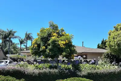 Image de Marchez jusqu'à la plage, port et des commerces! Piscine privée / Patio