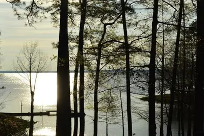 Image de Cottage de charme blotti dans Main Lake Cove avec emplacement parfait et des vues