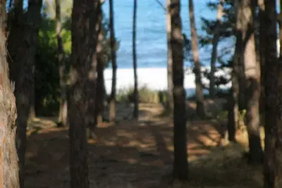 Image de Appartement Oleandro première rangée, à quelques pas de la plage (4 SIÈGES)