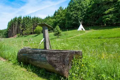 Image de Appartement de vacances exclusif sur le Rothaarsteig, aventure en plein air adaptée aux enfants