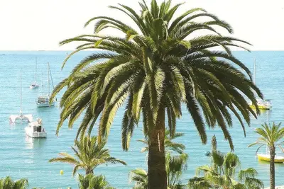 Image de Studio Climatise. Vue sur les palmiers, proche grand parking gratuit et plages