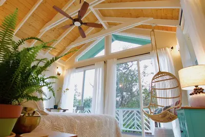 Image de Luxueux Tree Tree dans la forêt tropicale