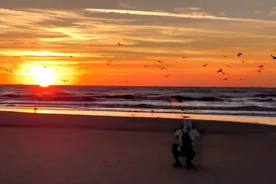 Image de Profitez de la plage, piscine et vélos à Shipwatch
