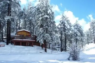 Image de Flagstaff Cozy Cabin