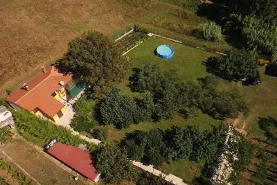 Image de Sous le noyer Pomer - Famille et animaux de compagnie, grande pelouse, verdure, nature