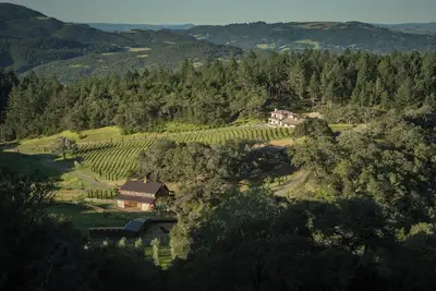 Une expérience de Vineyard In The Wine Country