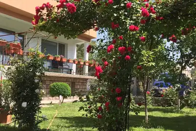 Image de Maison d'hôtes \"Aleksandra\"