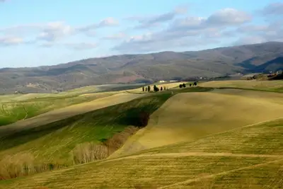 Image de Détendez-vous dans la magnifique campagne toscane à deux pas de la mer.