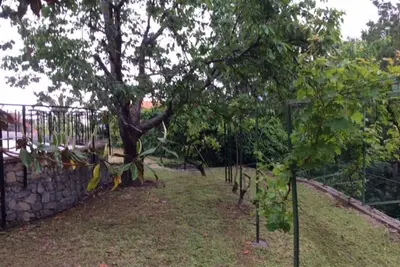 Image de Appartement dans villa cod. Citra 009029-Lt-0036