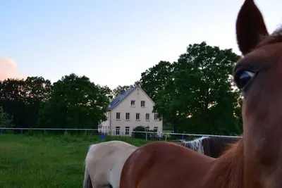 Image de Riding Muhlitz sur Rügen, une idylle pour les individualistes