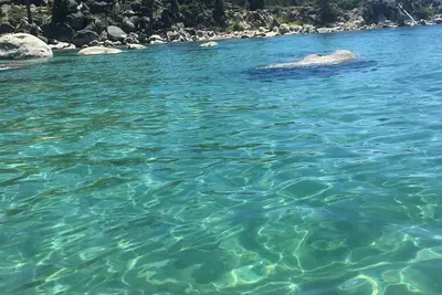 Image de Black Bear Cabin est l'endroit idéal pour profiter de la splendeur de la région de Tahoe