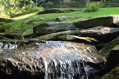 Image de Luxe et calme \"Home StreamSide '. . . . Bordé par 8000 forêt acres, Wifi