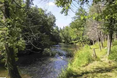 Image de Animaux acceptés, Betsie River Retreat - 10 personnes - Ski, poisson et plus encore!