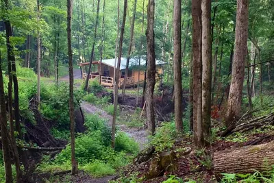 Image de Cabin Creek Getaway (Letchworth) - Cascades sur une forêt privée de 100 acres!