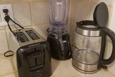 Image de Petit paradis avec piscine à South Tampa