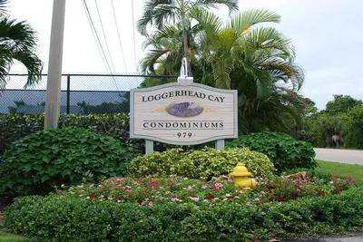 Image de Gulf Front Animaux à quelques pas de la plage Piscine chauffée récemment mise à jour Tennis 1er étage