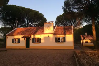 Image de Profitez de la beauté de l'Alentejo. Maison dans une forêt de pins et à proximité des belles plages