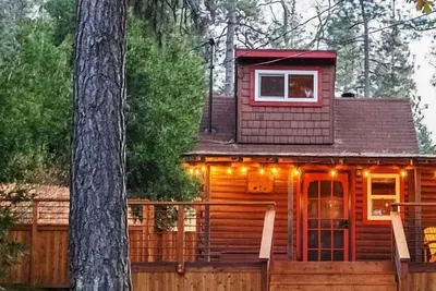 Image de Conçu par un artiste • Près de la ville • Chiens gratuits • Cour clôturée • Paradis pour chiens / enfants • Nettoyé par des professionnels