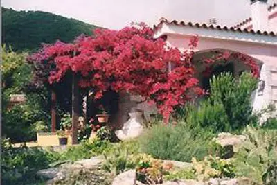 Image de Maison de vacances avec lit Ă eau, pas de tourisme de masse, vue sur Tavolara