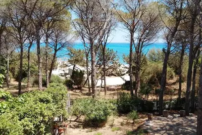 Image de Appartement La Pigna face à la plage (5 Places)