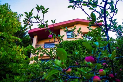 Image de Villa de Calma. . . une station balnéaire naturelle dans un village paisible et convivial.