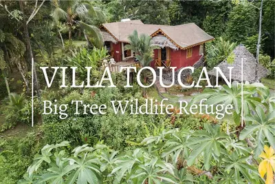 Image de Villa Toucan - Romantic Oceanview Paradise with FibOp Internet