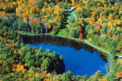 Image de Maison Hilltop pour animaux de compagnie et famille Ă Putney Vermont