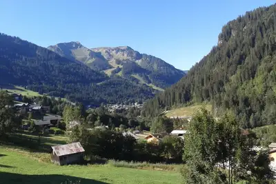 Image de Appartement 2 PIÈCES Proche Du Centre De Chatel