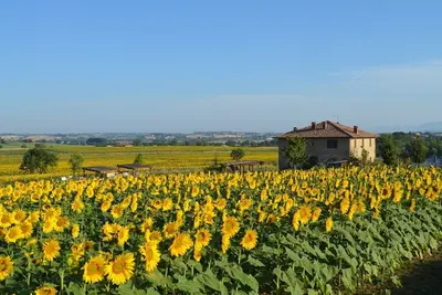 Image de Ferme du 19ème siècle en pierre avec jardin et piscine privée / 8 couchages / animaux de compagnie