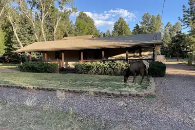 Image de Maison confortable, propre et confortable dans les pins. Se sent comme la maison de grand-mère!