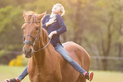 Image de 100 acres de vues sur la forêt, les cascades de ruisseau, les sentiers privés de Forest Homestead