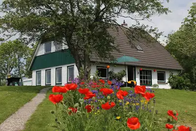Image de appartement lumineux dans un endroit isolé avec vue sur la nature, les animaux domestiques