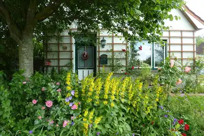Image de Idylle jardin dans le parc national de la mer des Wadden