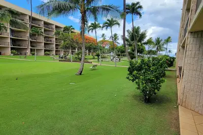 Image de Spécial été! Maui Sunset 105a ~ 1 Br, 2 Ba Condo rez de chaussée!