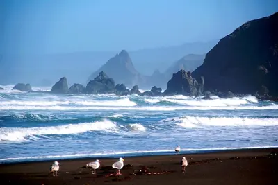 Image de Vous avez trouvé le paradis pour vous détendre et profiter de la nature!