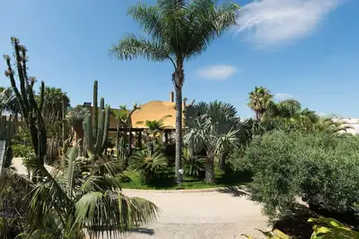 Oasis succulente