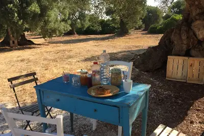 Image de Ostuni: vieille maison indépendante dans un beau pays avec oliveraie séculaire