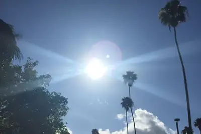 Image de Maison privée propre avec moustiquaire dans une piscine chauffée d'eau salée et un spa! !