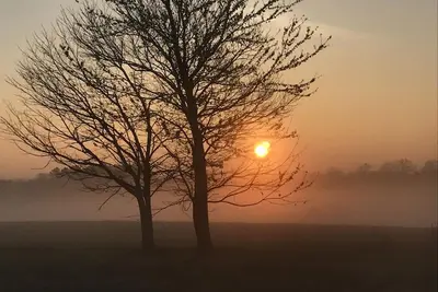 Image de Retraite paisible au nord de Nashville