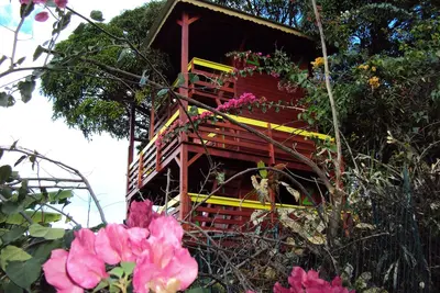 Image de Guadeloupe-Paradisio, Pitaya