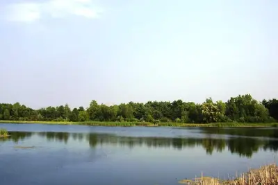 Image de Lake House Retreat - poisson / bateau / relax - Kayaks / Bateaux Inclus!