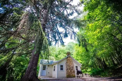 Image de La place d'Ovr dans les pins! Cabine de luxe confortable à côté de Fallingwater! Jacuzzi!