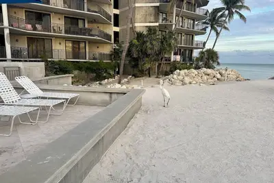 Image de Botanical Island Delight C120: 2 Br, 2 Ba Condominium à Key West, pour 4 personnes