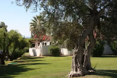 Image de Une chambre Villa à Pedras D'el Rei