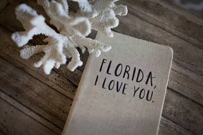 Image de Holiday Surf Unit 204 Spectacular Gulf Front 2 chambres