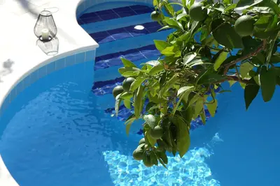 Image de Des vacances parfaites au soleil Dubrovnik