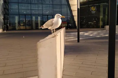Image de Spacieux appartement en bord de mer est situé à proximité de la mer au coeur de Tallinn
